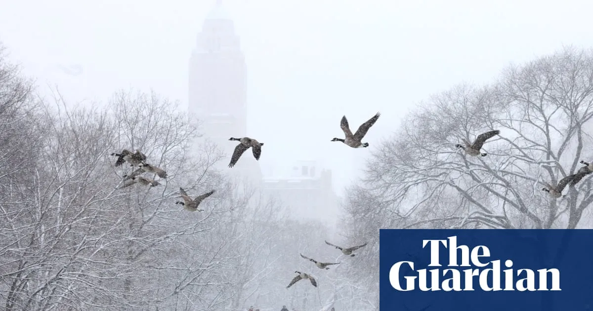 Winter weather disrupts air traffic in New Jersey and New York
