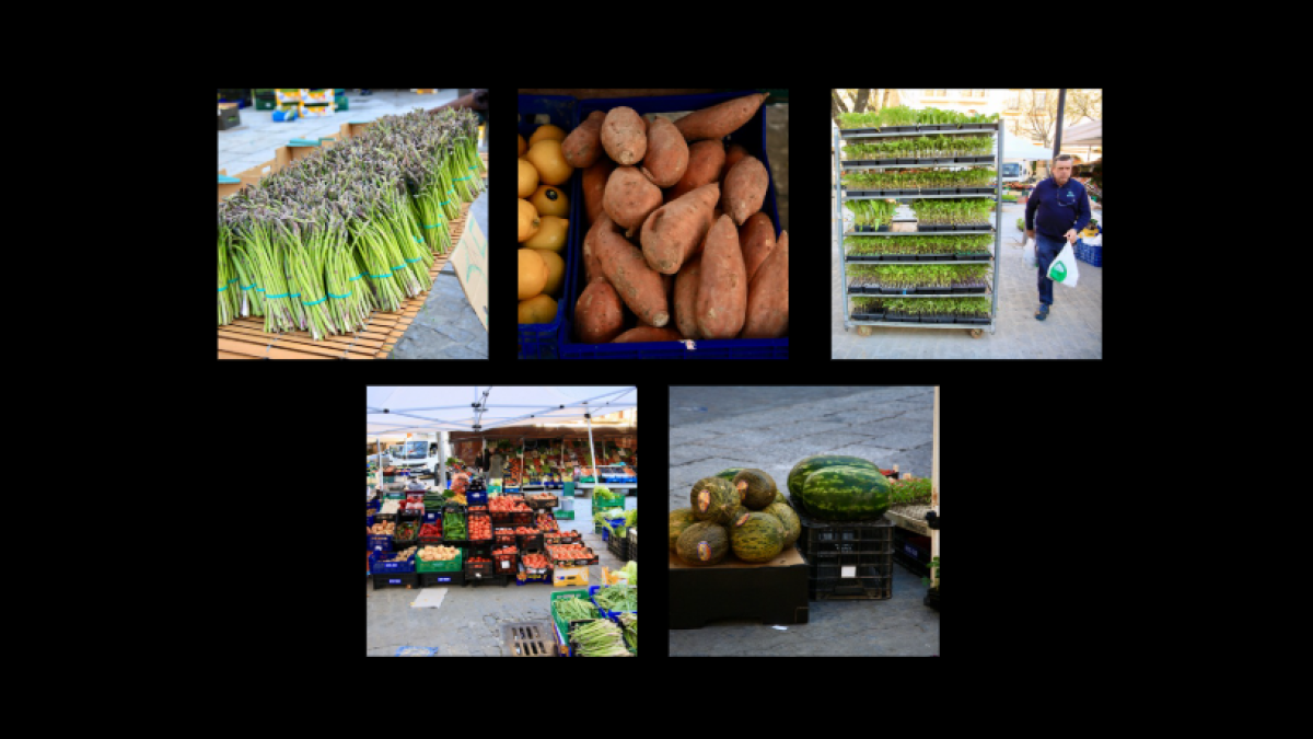 
                                                                                                                        El centenario mercado de Plasencia
                                                                                                                    