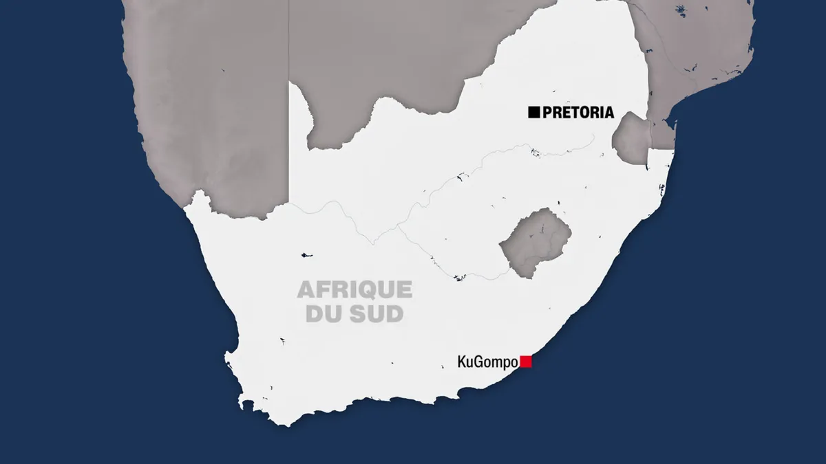 Afrique du Sud: une manifestation dégénère en violences sur fond de discours anti-Nigérians