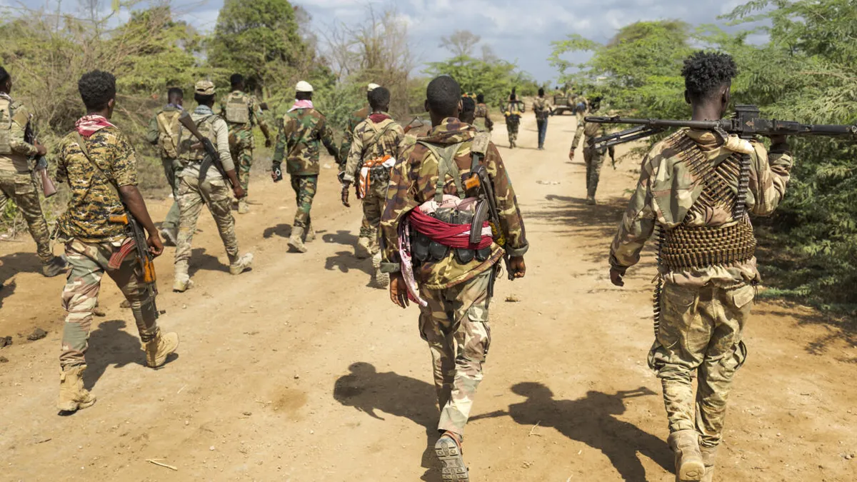 Somalie: l'armée fédérale prend le contrôle de la capitale de l’État du Sud-Ouest, son président démissionne
