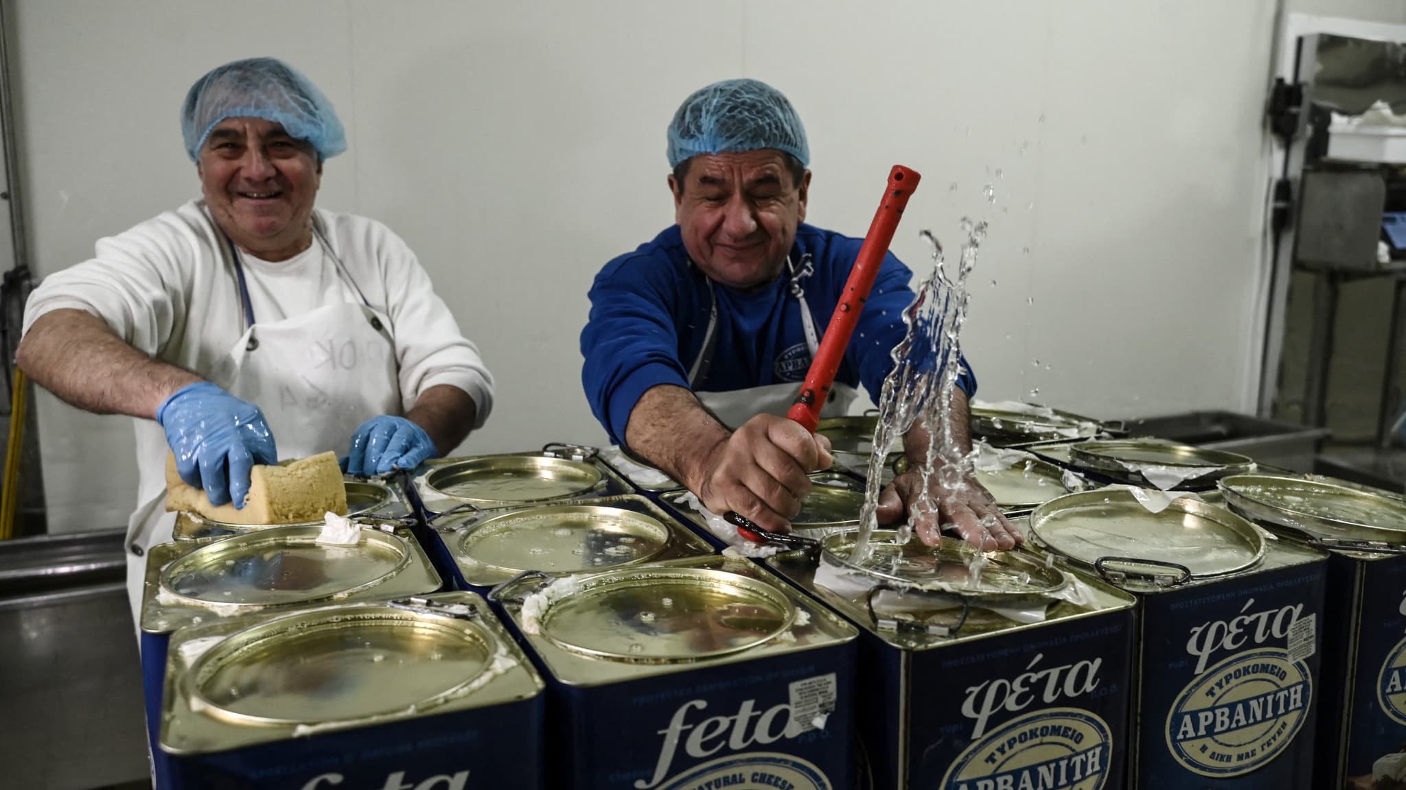 Un demi-million de moutons et chèvres abattus en Grèce: menace sur la feta, la production va baisser de 20.000 tonnes cette année à cause d'une épizootie