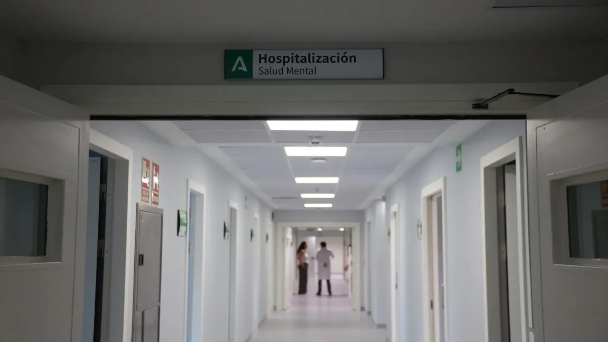
         El Gobierno crea un Observatorio del Suicidio que se reunirá dos veces al año para reforzar la prevención en España 
    