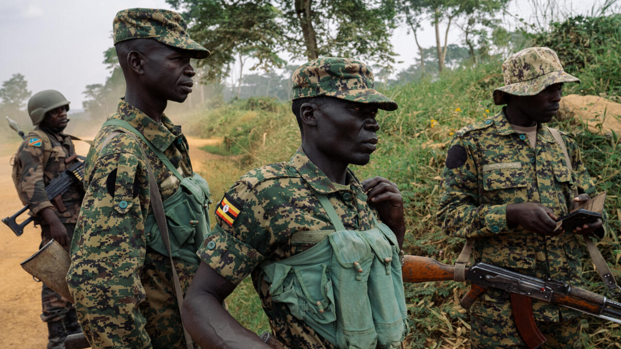 En Afrique centrale, qui veut vraiment vaincre les ADF ? [2/2]