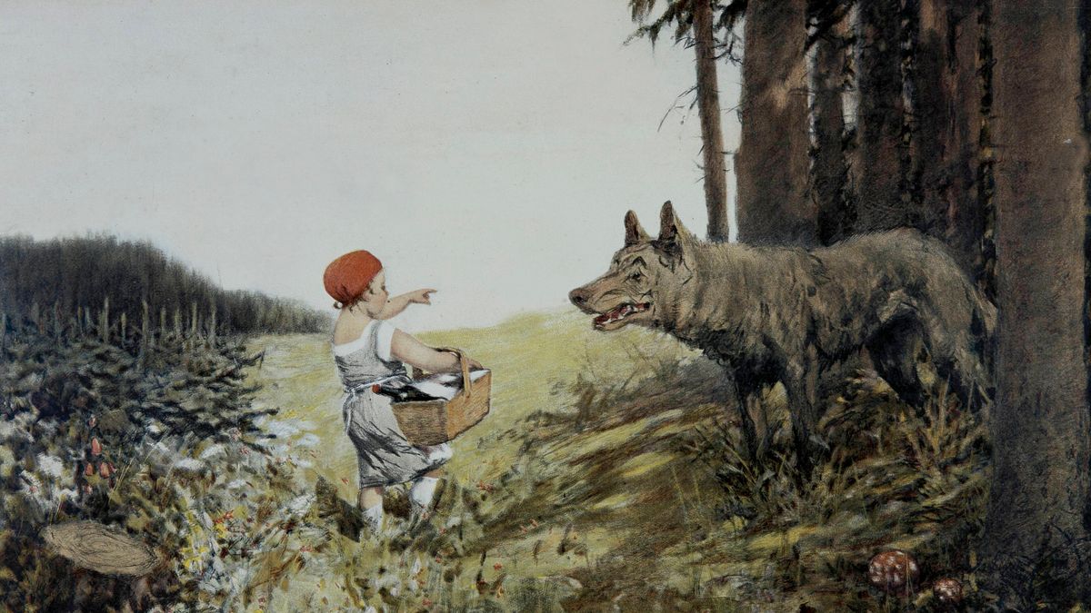 Wolf und Wal: Sorgenkinder aus der Wildnis