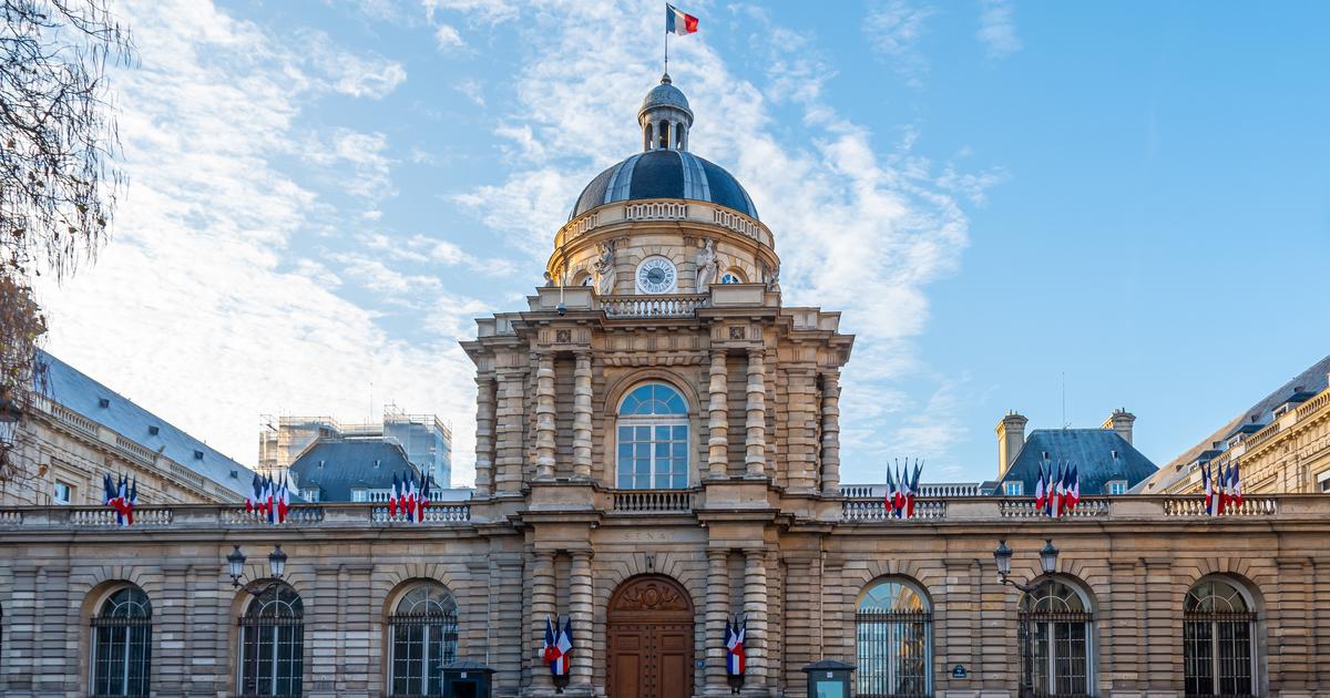 Réseaux sociaux : le Sénat vote l’interdiction pour les moins de 15 ans, mais sous conditions