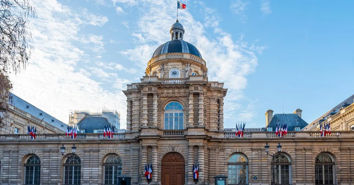 Réseaux sociaux : le Sénat vote l’interdiction pour les moins de 15 ans, mais sous conditions