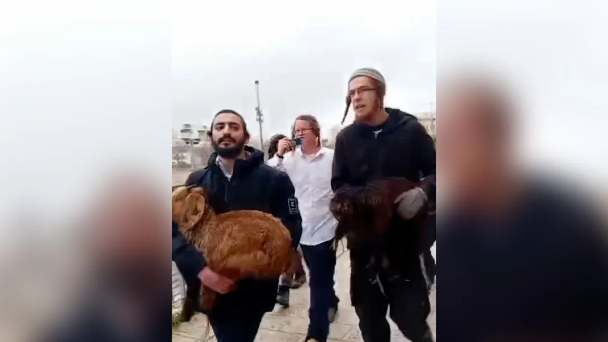 Israelis attempt to perform Passover sacrifice at Al-Aqsa