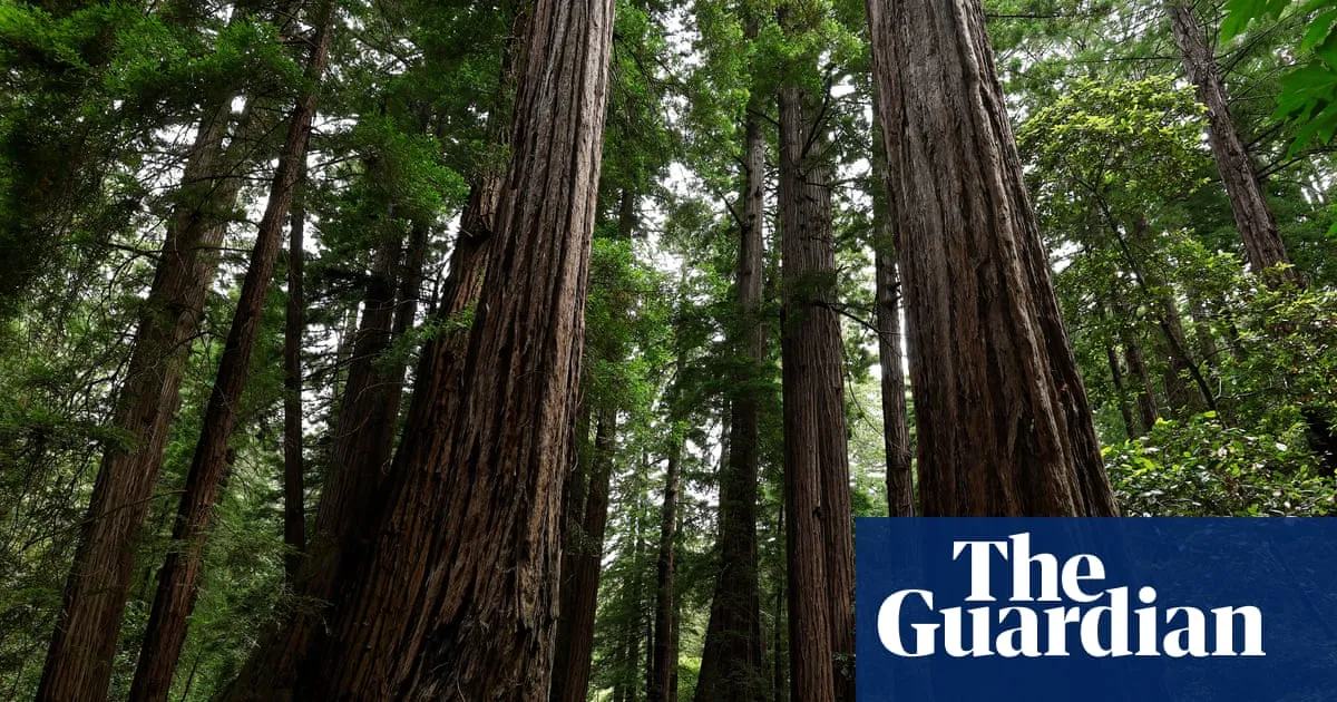 US Forest Service to move headquarters from Washington DC to Salt Lake City
