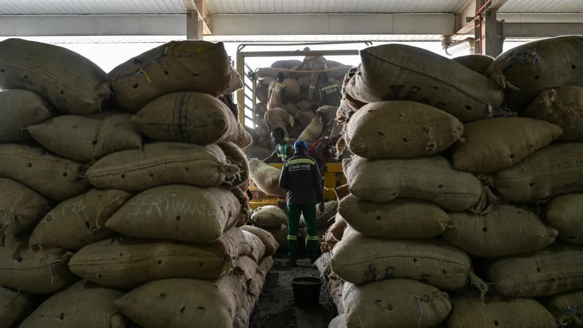 Cacao: la chute des prix inquiète les pays producteurs de l'ICCO qui tentent de trouver une parade
