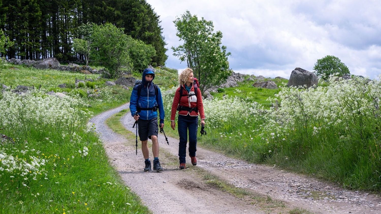 "Compostelle" : Yann Samuell filme la marche de la dernière chance d'un ado qui risque la prison