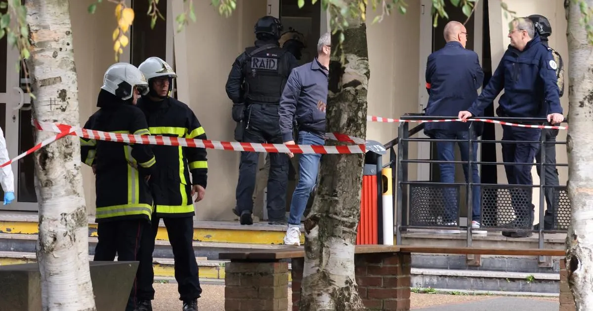 Terrorisme djihadiste : ces mineurs français attirés par une propagande qui reprend les codes de leur génération