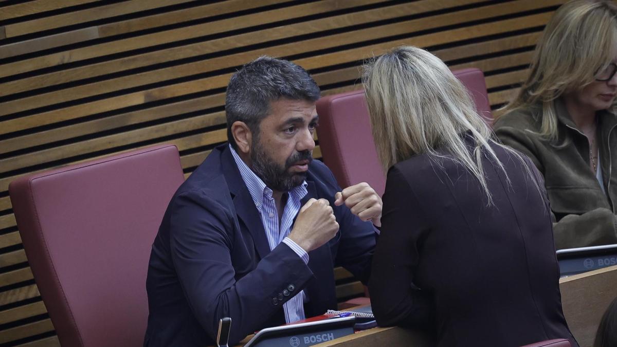 
                                         El eco de Mazón
                                     