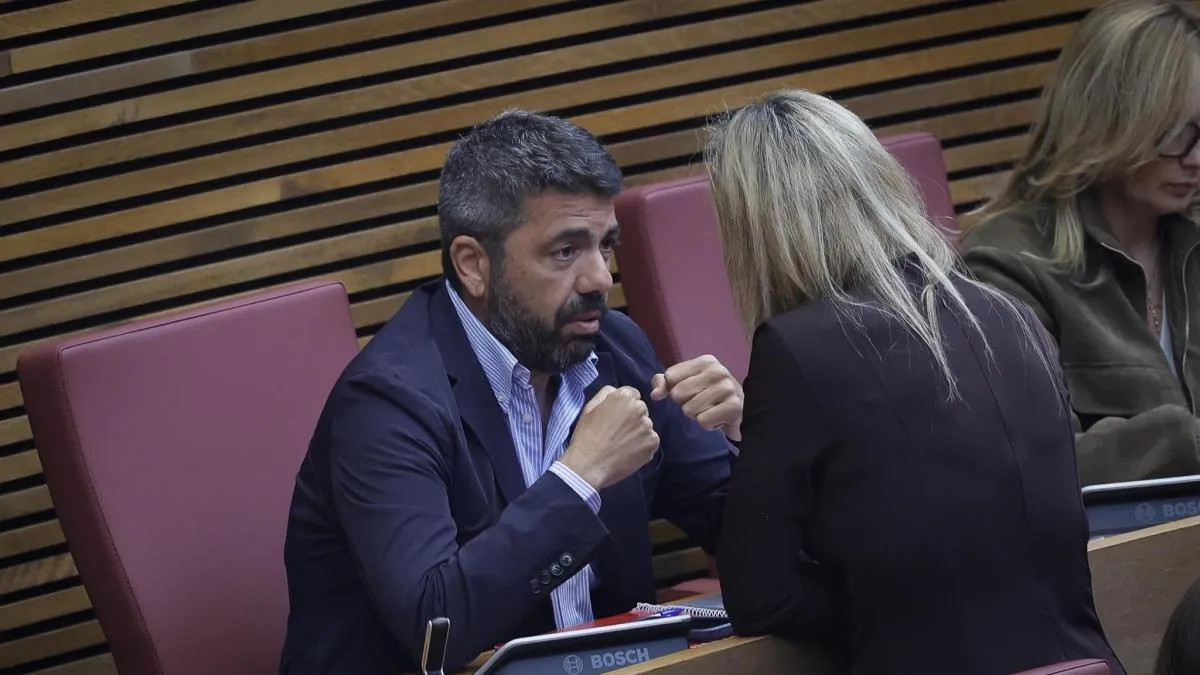 
                                         El eco de Mazón
                                     