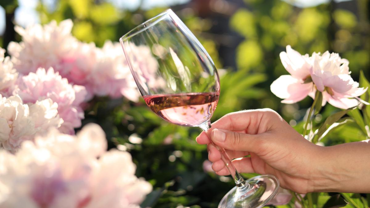 
                                                                                                                         7 garnachas de diferentes estilos para dar paso a la deseada primavera
                                                                                                                     