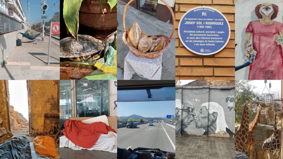 
                                                                                                                                  De la hamaca de Rodalies al festín de las jirafas
                                                                                                                              