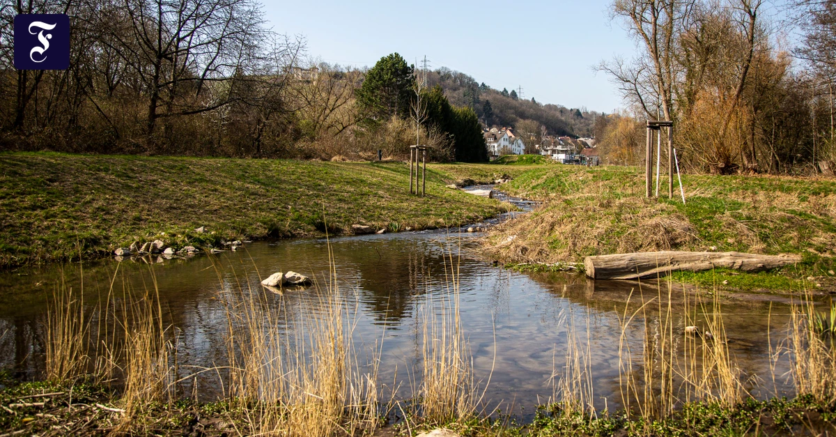 Grundstückskauf stockt: Noch fließen 100 Bäche nicht wieder wild