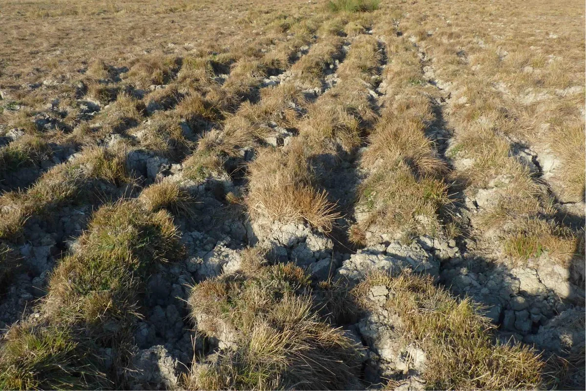 Le mystère des « mottureaux » du Marais poitevin éclairé par la physique des fluides