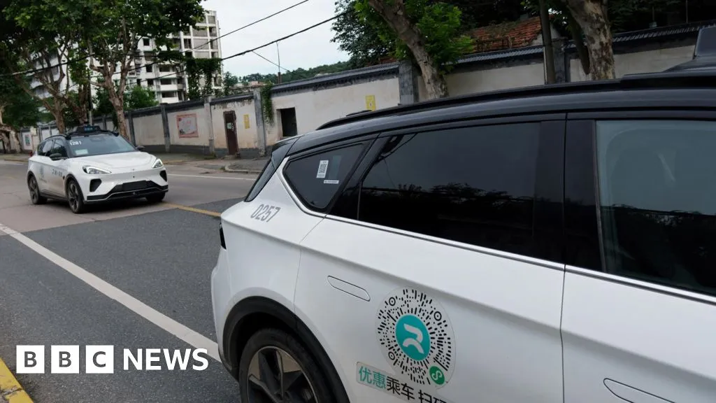 Mass robotaxi malfunction halts traffic in Chinese city