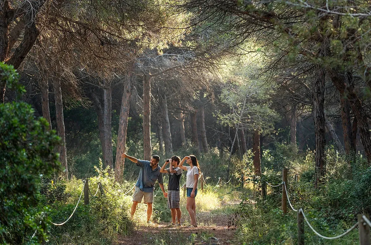 El bosque cerca de Barcelona que solo puedes visitar en 10 ocasiones durante el año, y este domingo es una de ellas: gratis y solo entran los 25 primeros