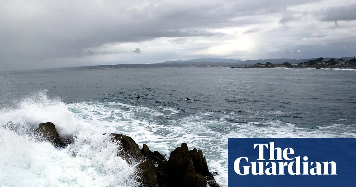 Body of triathlete apparently killed by shark found on California beach