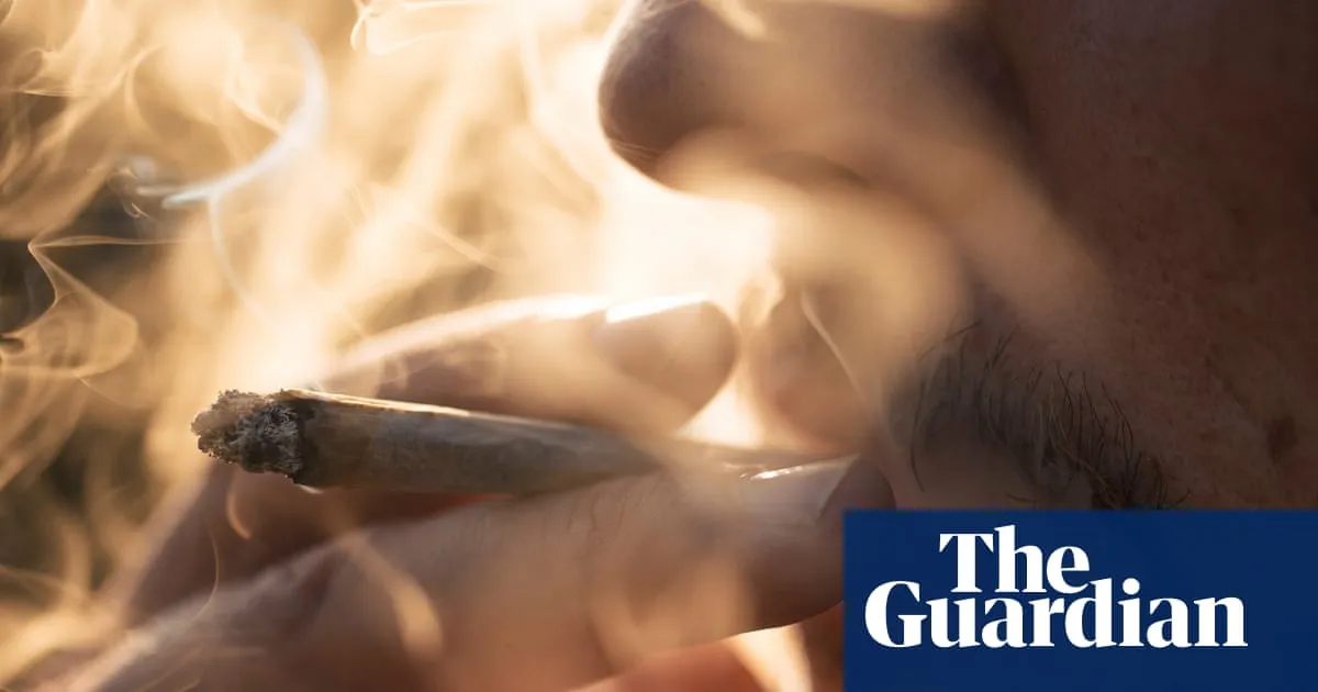 Success or ‘total flop’? Report on Germany’s cannabis legalisation fails to settle debate