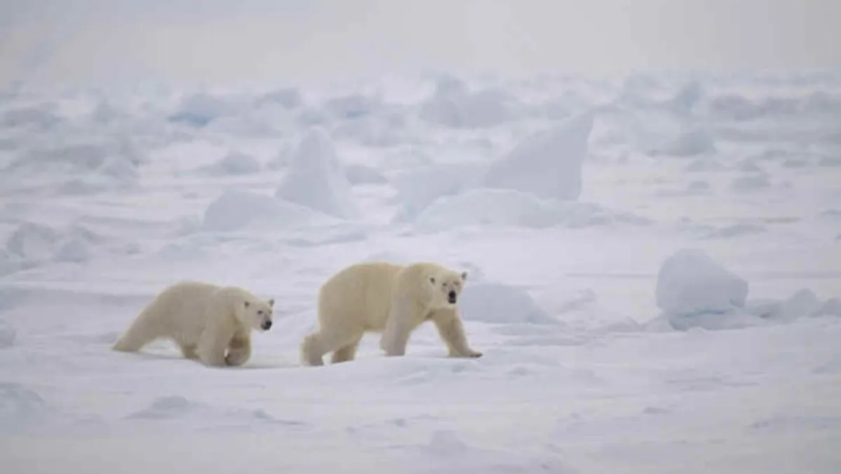 Le Canada annonce un plan 3,8 milliards de dollars pour la protection de la nature