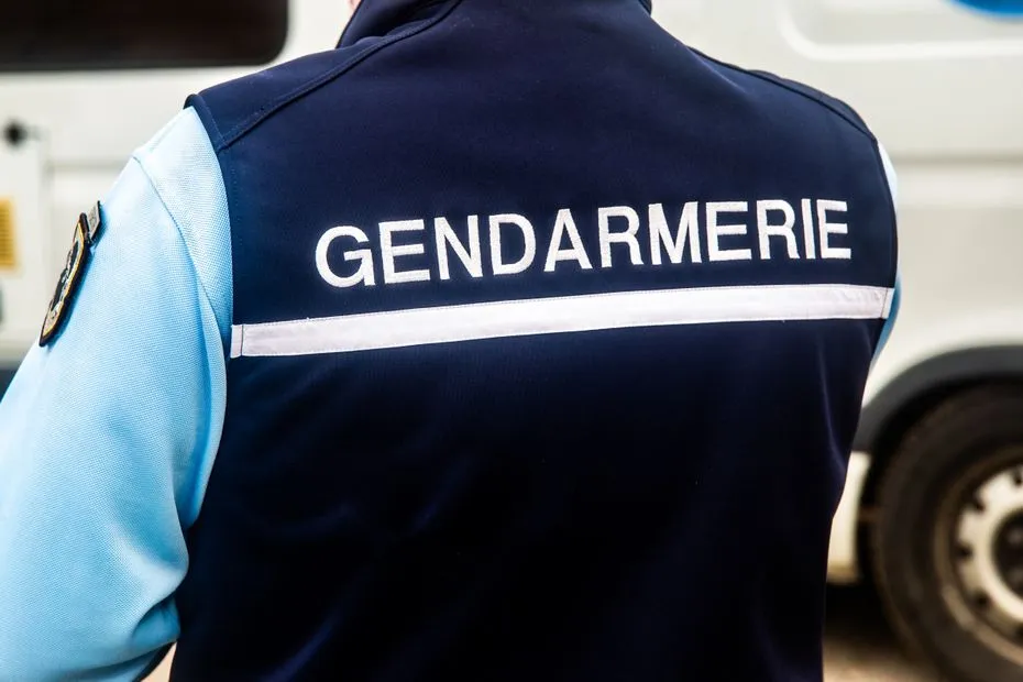 Femme retrouvée morte près de Toulouse : la victime avait déposé plainte huit jours avant, son compagnon était déjà connu pour violences