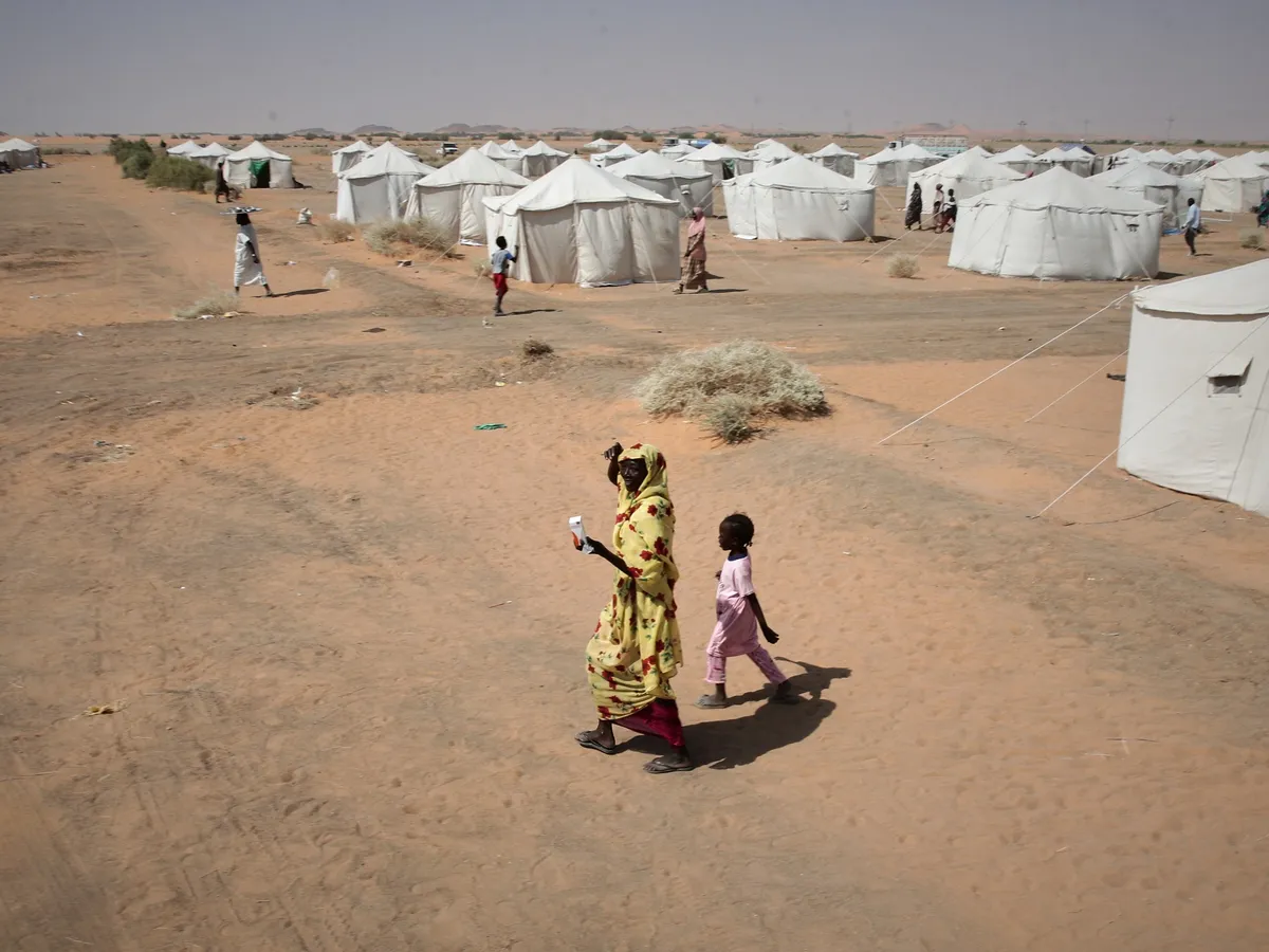 UN says Sudan’s el-Fasher a ‘crime scene’ in first access since RSF capture