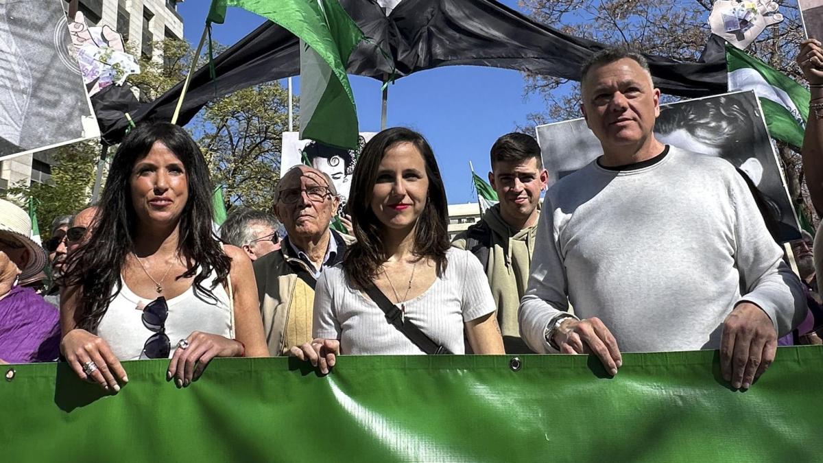 
                               Las bases de Podemos avalan con un 81% la confluencia con Por Andalucía
                           