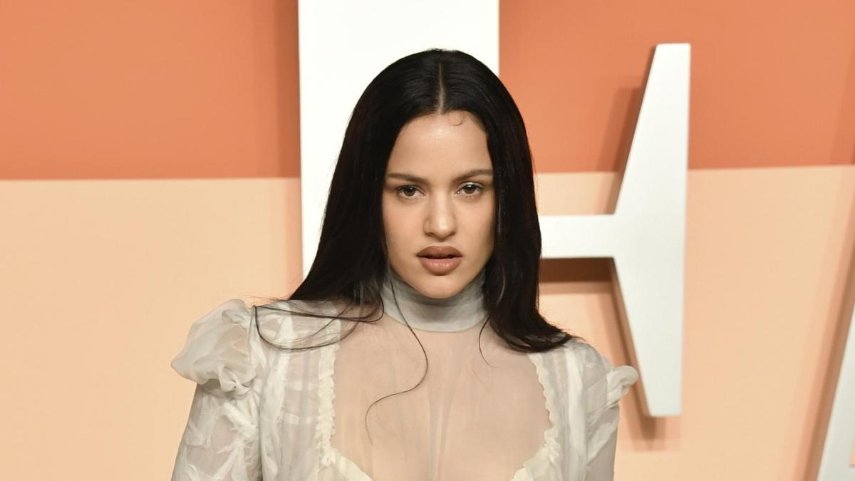 
                                       Siete millones de euros y 600 m2: así es el exclusivo tríplex que Rosalía quiere adquirir en Madrid
                                   