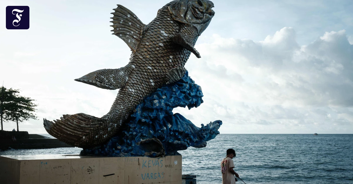 Tsunami-Warnung: Schweres Erdbeben erschüttert Osten Indonesiens