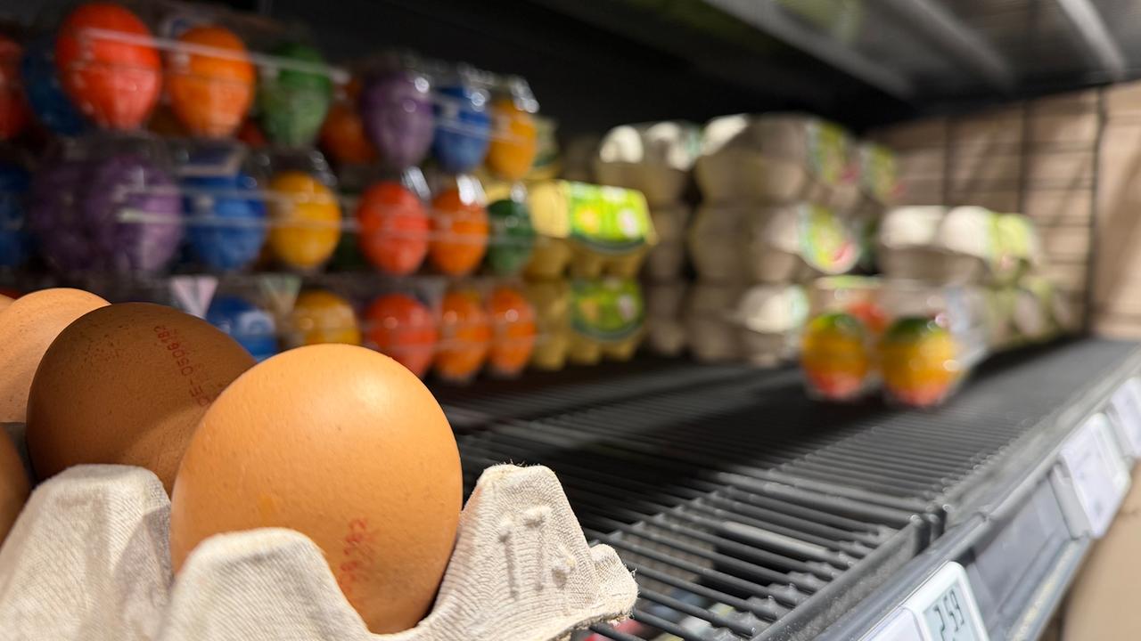 Geflügelpest und hohe Nachfrage: Reichen die Eier für alle?