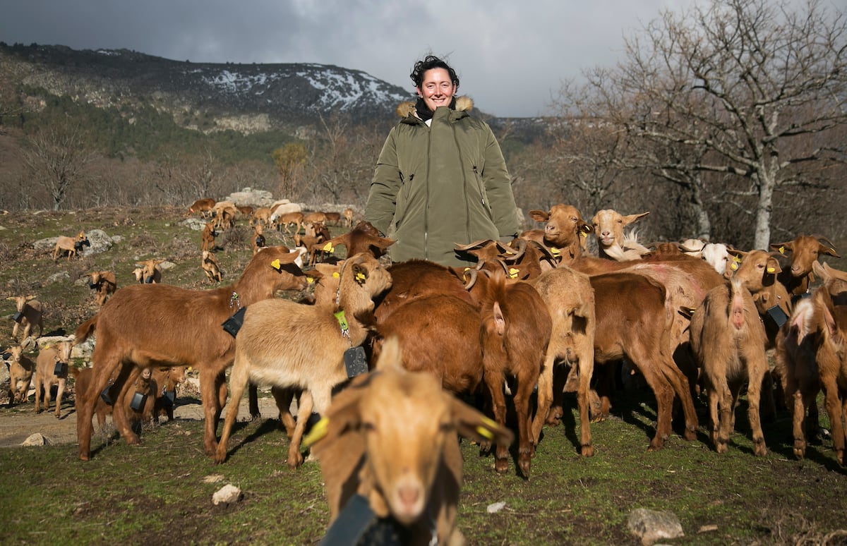 Pastores que cobran de 3.000 a 6.000 euros al año por limpiar el monte con ‘ovejas bomberas’