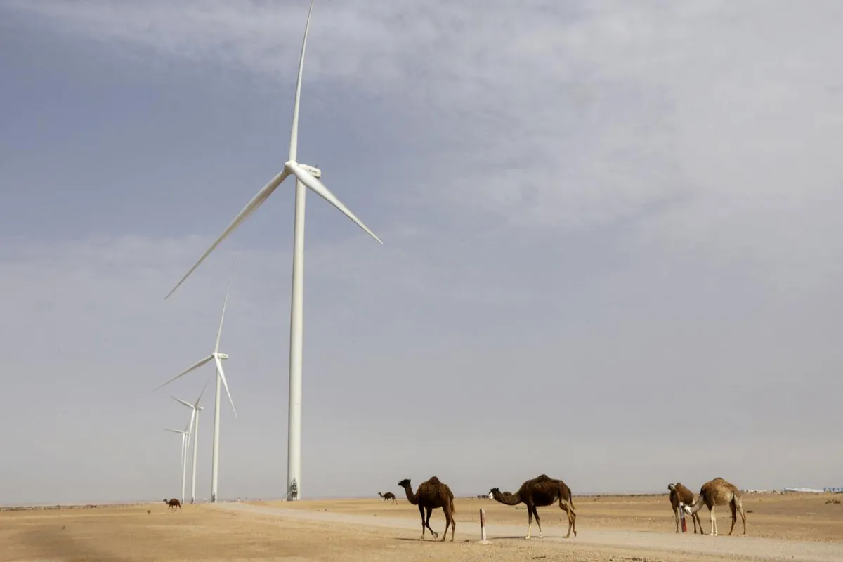 Des « progrès fulgurants » en faveur des énergies renouvelables dans les pays les plus pauvres et vulnérables au réchauffement climatique
