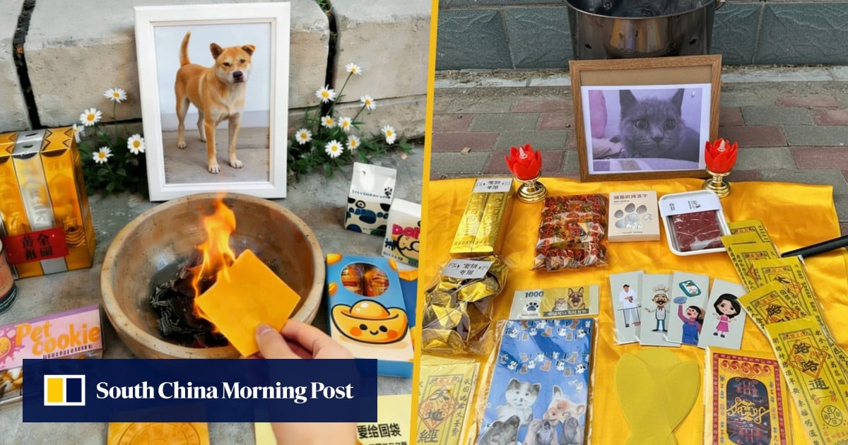 From Wagyu to joss paper: rise of pet spirit money, luxury farewell ceremonies take China by storm