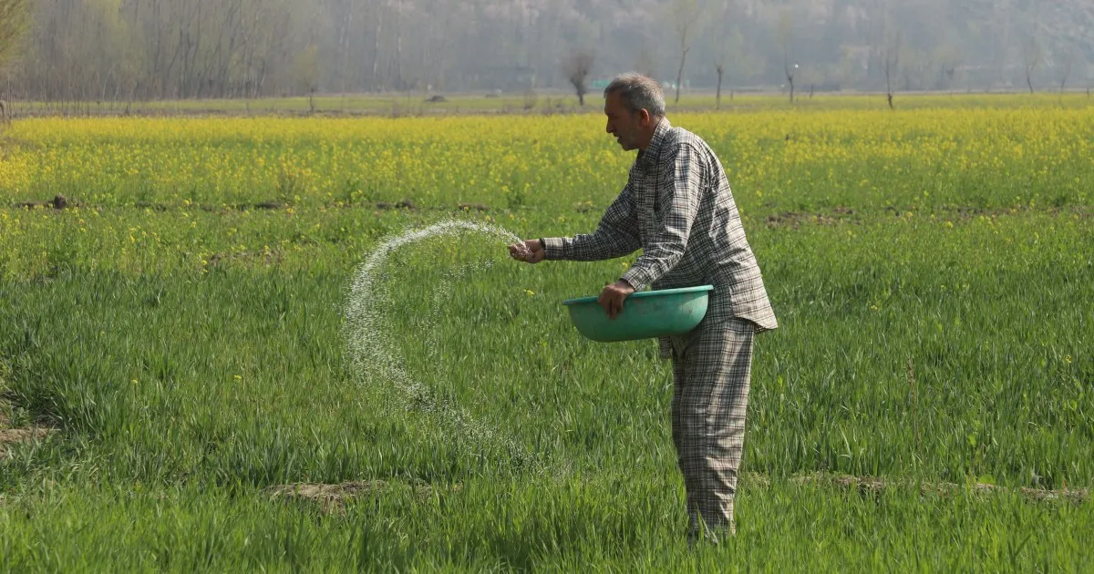 ‘It all depends on the crop’: Gulf crisis hits South Asia farmers