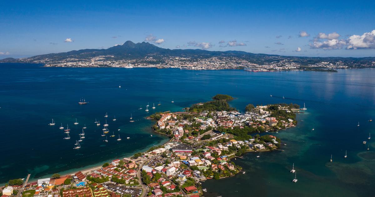 Outre-Mer : les spécialistes des câbles Nexans et Sonepar sanctionnées pour une infraction à la concurrence