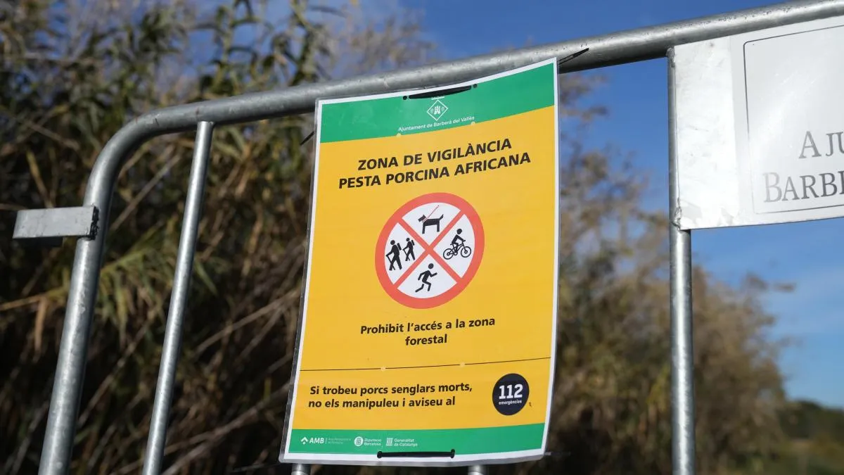 Los Mossos piden “extremar la prudencia” esta Semana Santa para contener la peste porcina