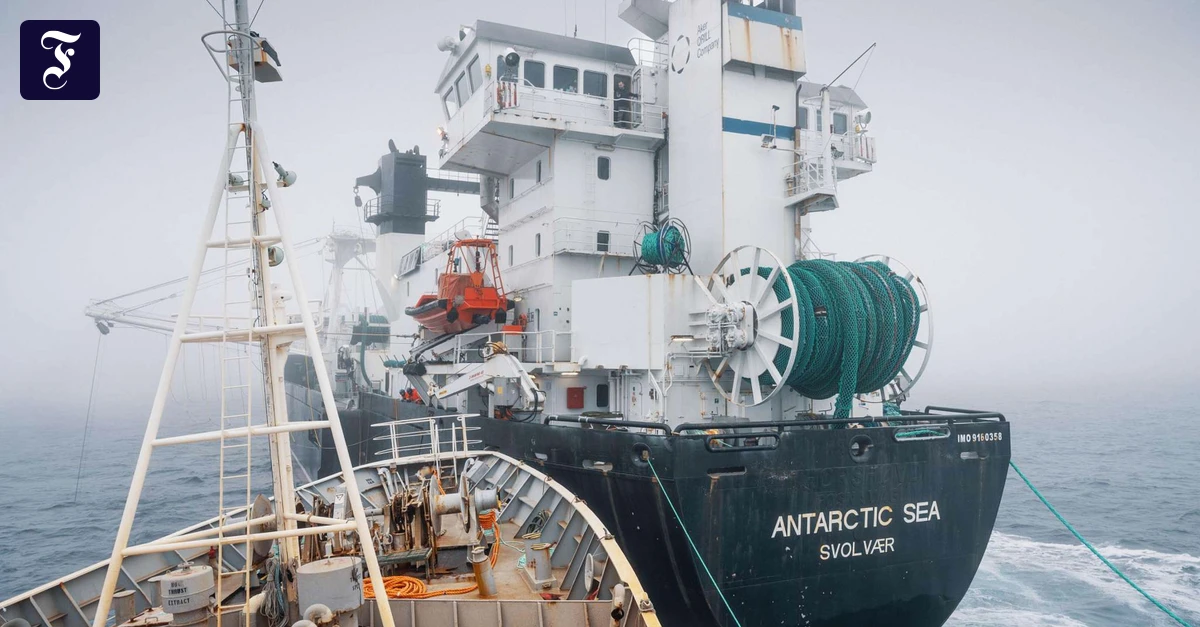 Paul Watson Foundation: Tierschützer rammen Krillfangschiff in der Antarktis