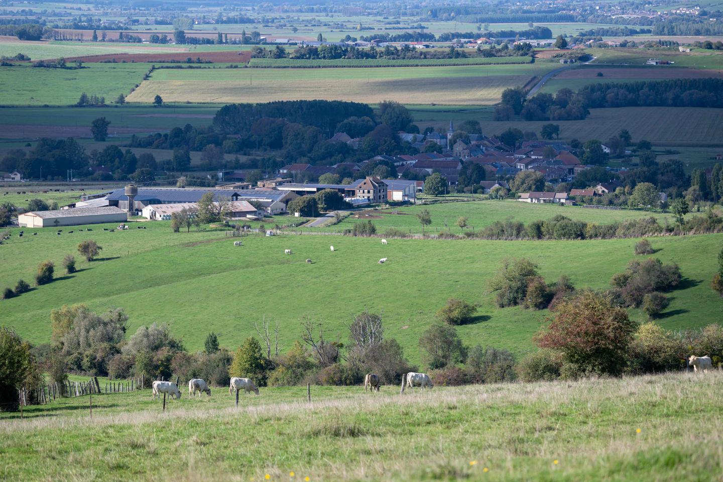 Retraités tués dans les Ardennes : les deux mineurs ont reconnu les faits, requalifiés en assassinat