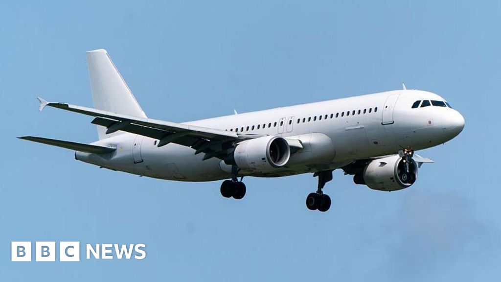Flights returning to normal after Airbus warning grounded planes