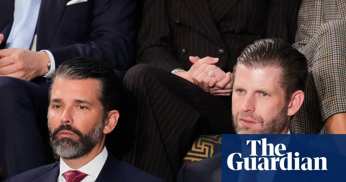 Firm backed by Trump sons tries to sell drone interceptors to Gulf states being attacked by Iran