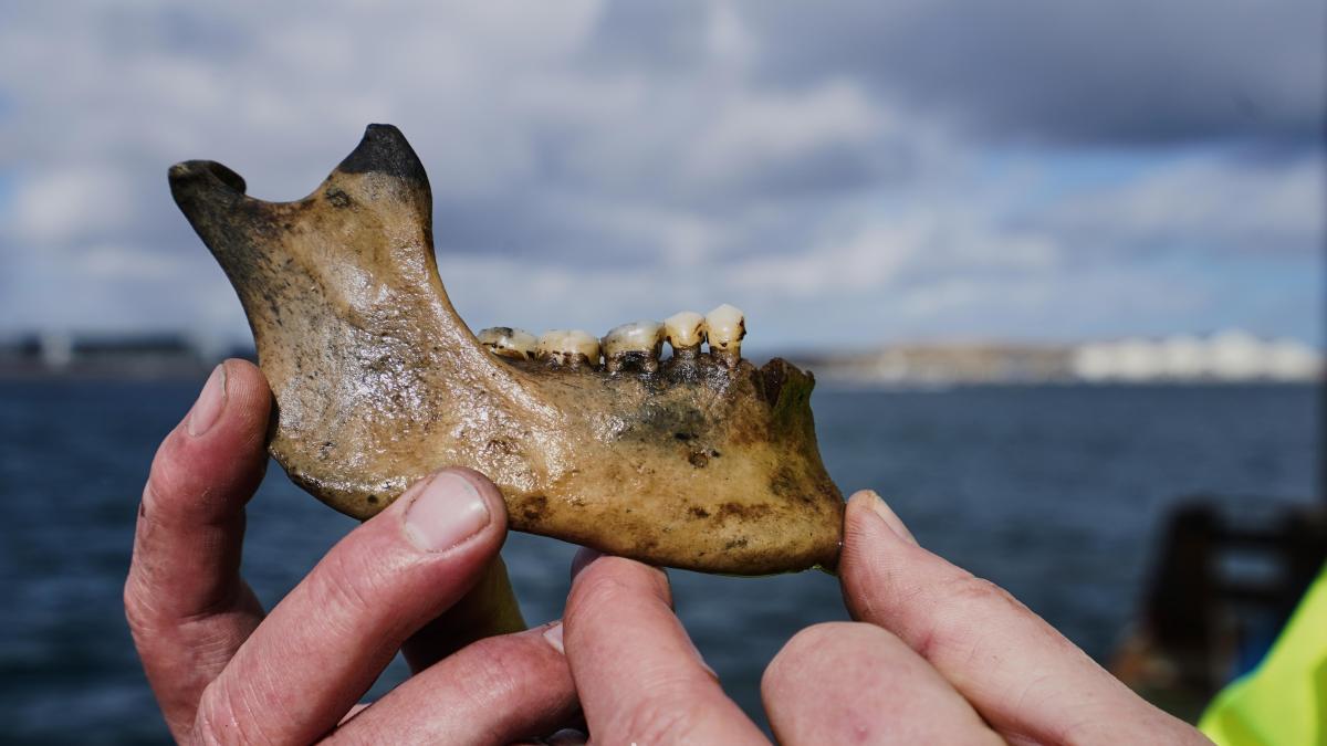 
                                    Hallan en Copenhague un buque de guerra hundido por la flota británica de Nelson hace 225 años
                                