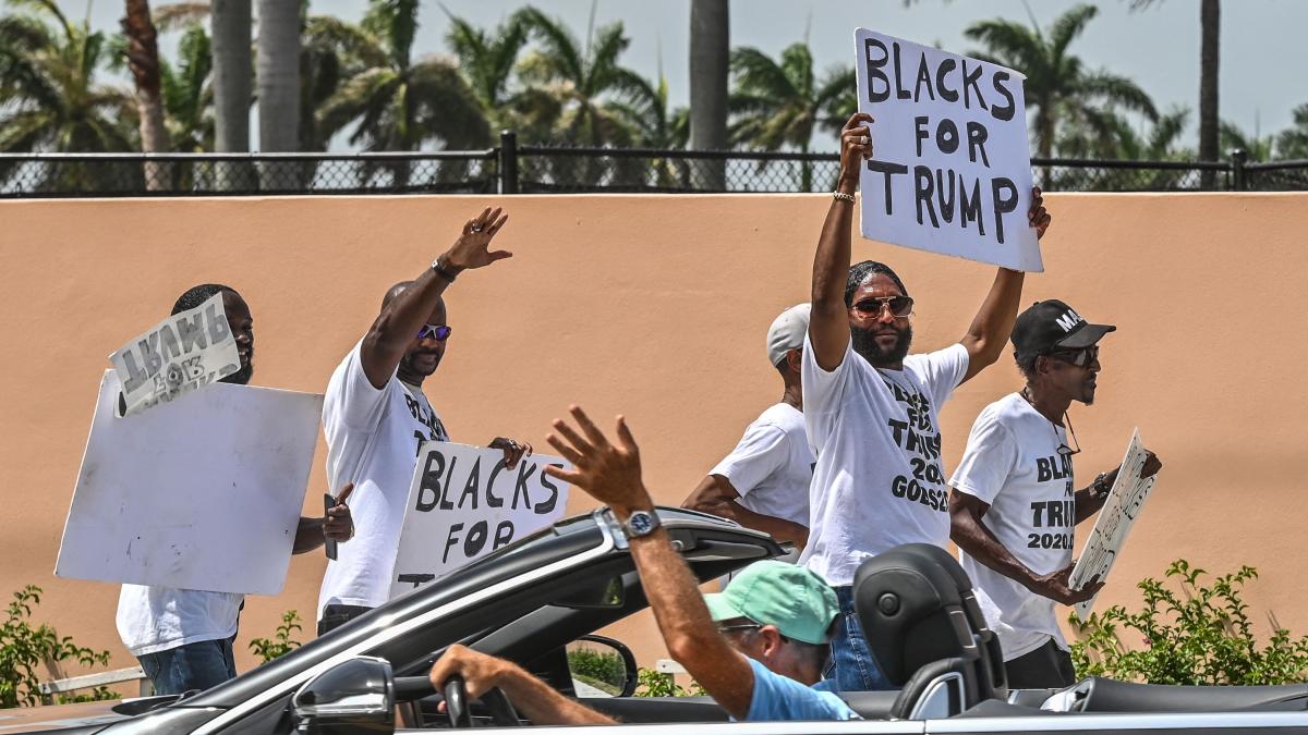 
                                                             El mundo necesita menos idiotas
                                                         