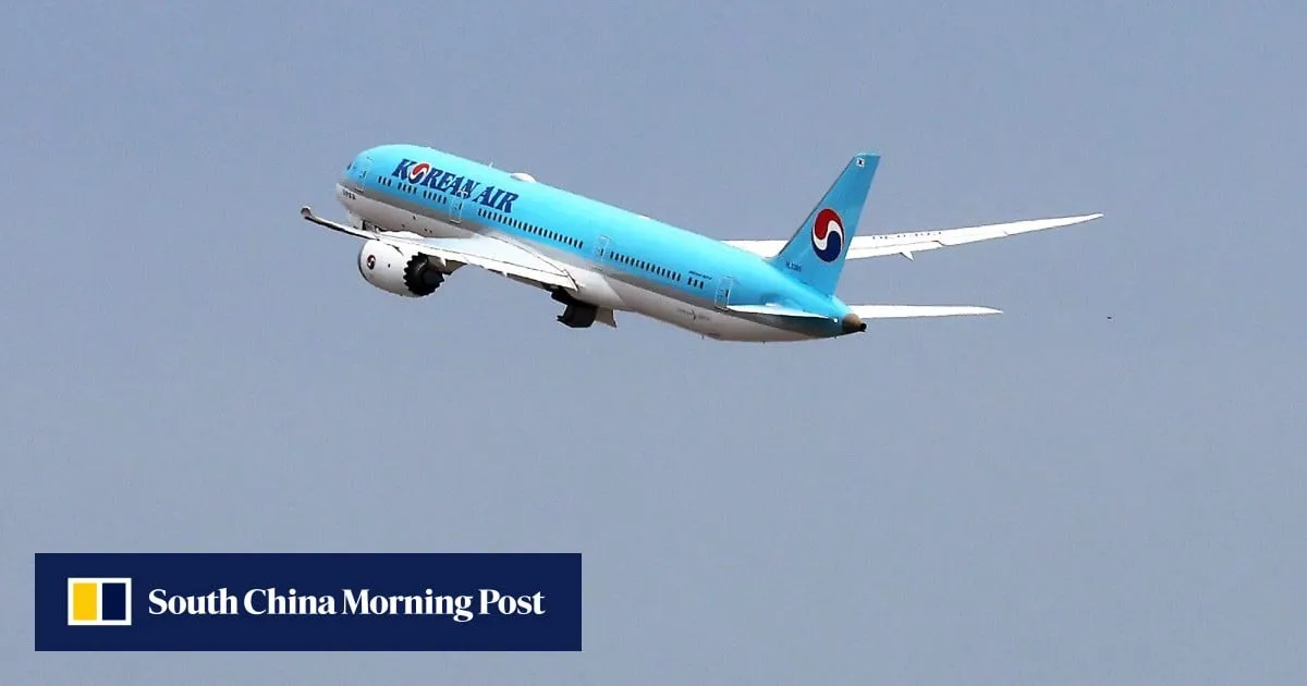 ‘I can’t breathe’: Korean Air sued over in-flight death of passenger