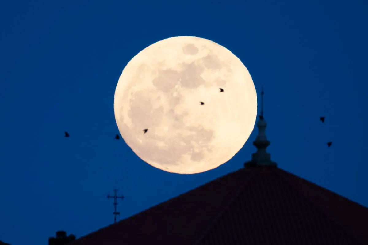 ¿De quién es la Luna? Las cinco curiosidades que siempre quisiste saber sobre el satélite