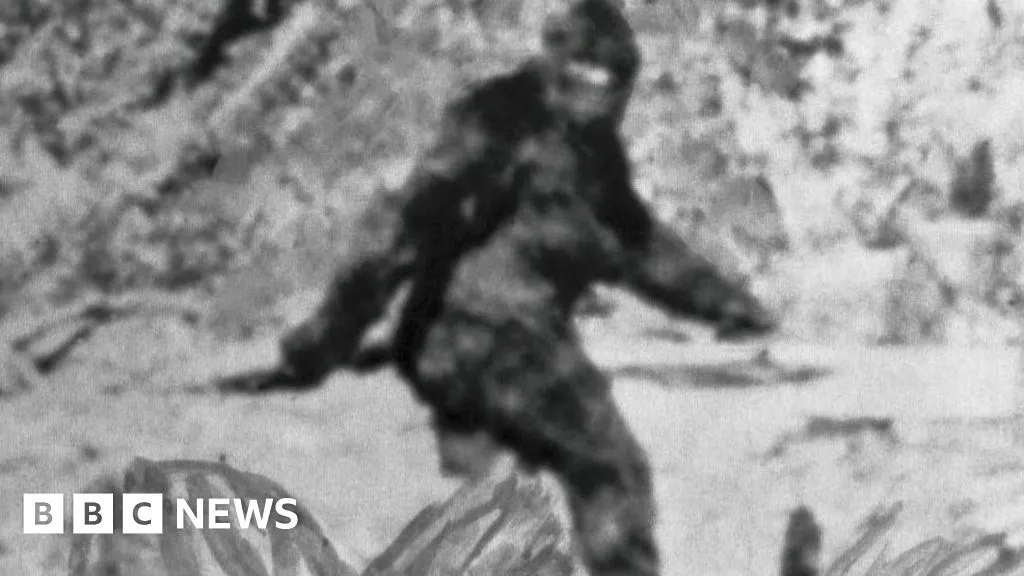 Researchers spent years interviewing 160 Bigfoot hunters - this is what they learnt
