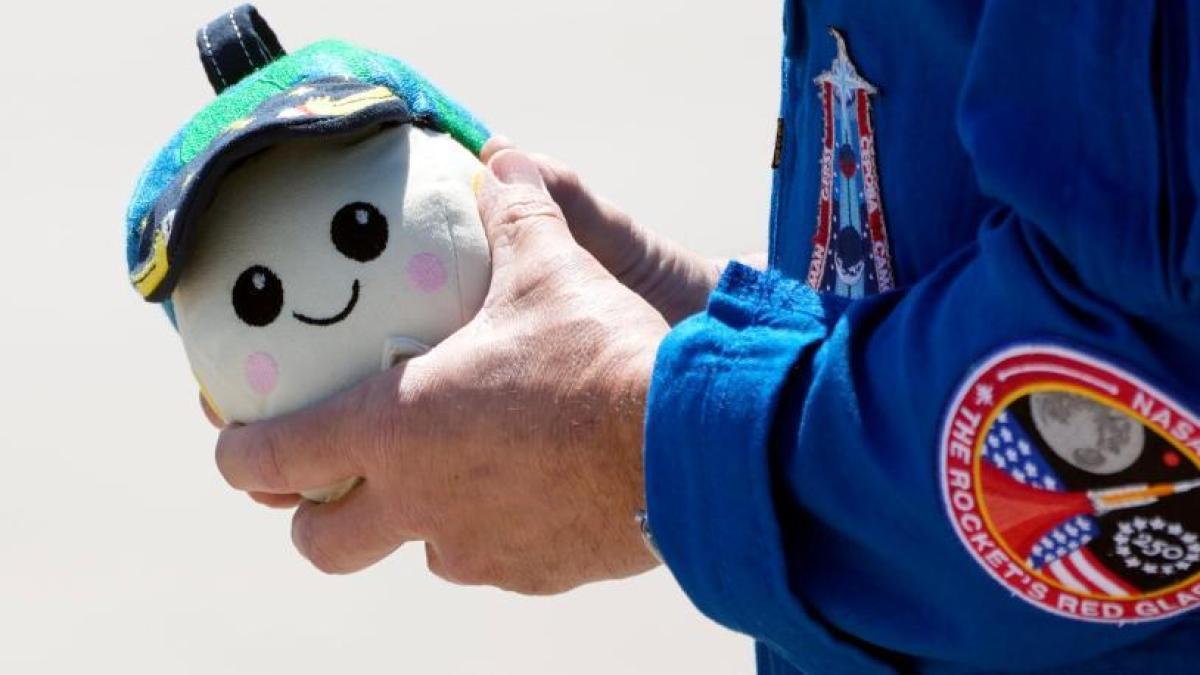 
                                                                                                         Rise, el pequeño peluche que representa a la humanidad rumbo a la Luna
                                                                                                     