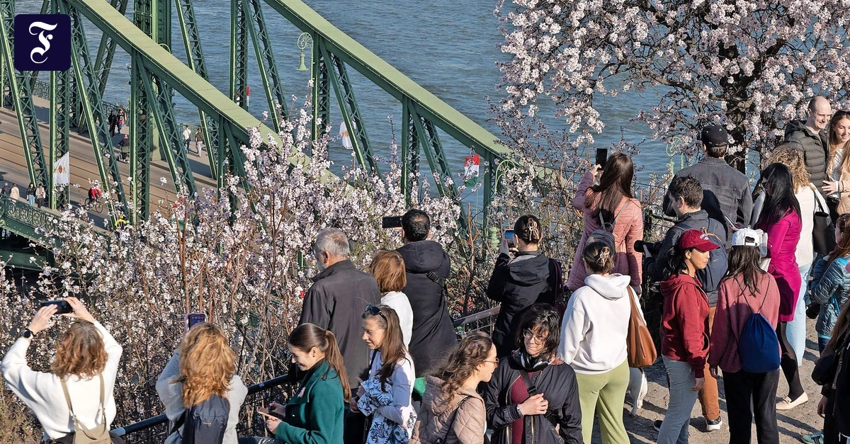Korruptionsfachmann Ligeti: „Korruption ist im ungarischen System Herrschaftsmethode“