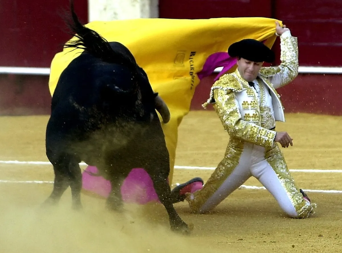 Muere el torero retirado Ricardo Ortiz embestido por un toro en los corrales de la plaza de La Malagueta 